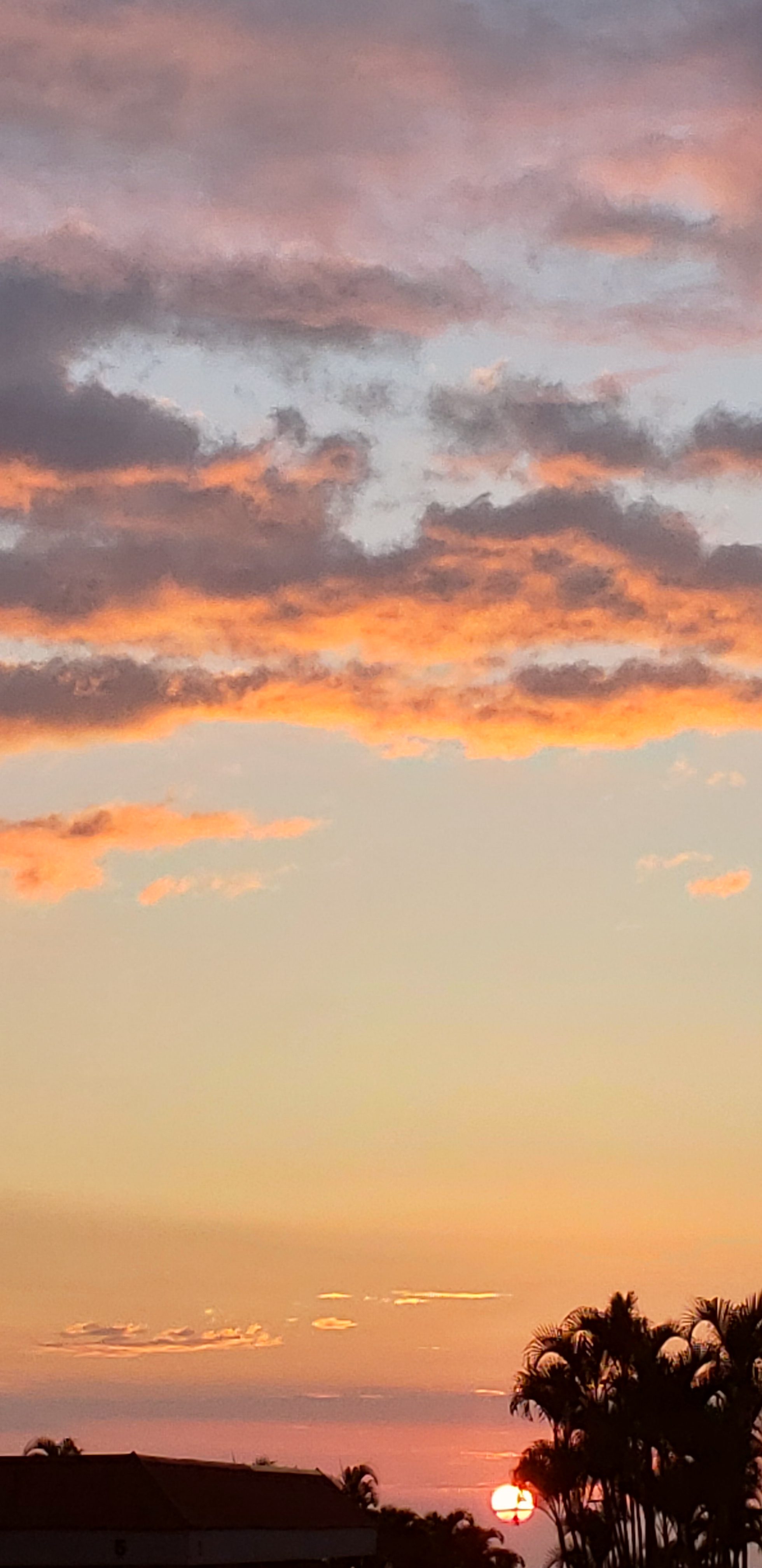 20230207_181651 sunset