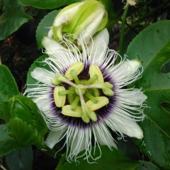 cropped-IMG_20170516_162837.jpg cropped-IMG_20170516_162837.jpg