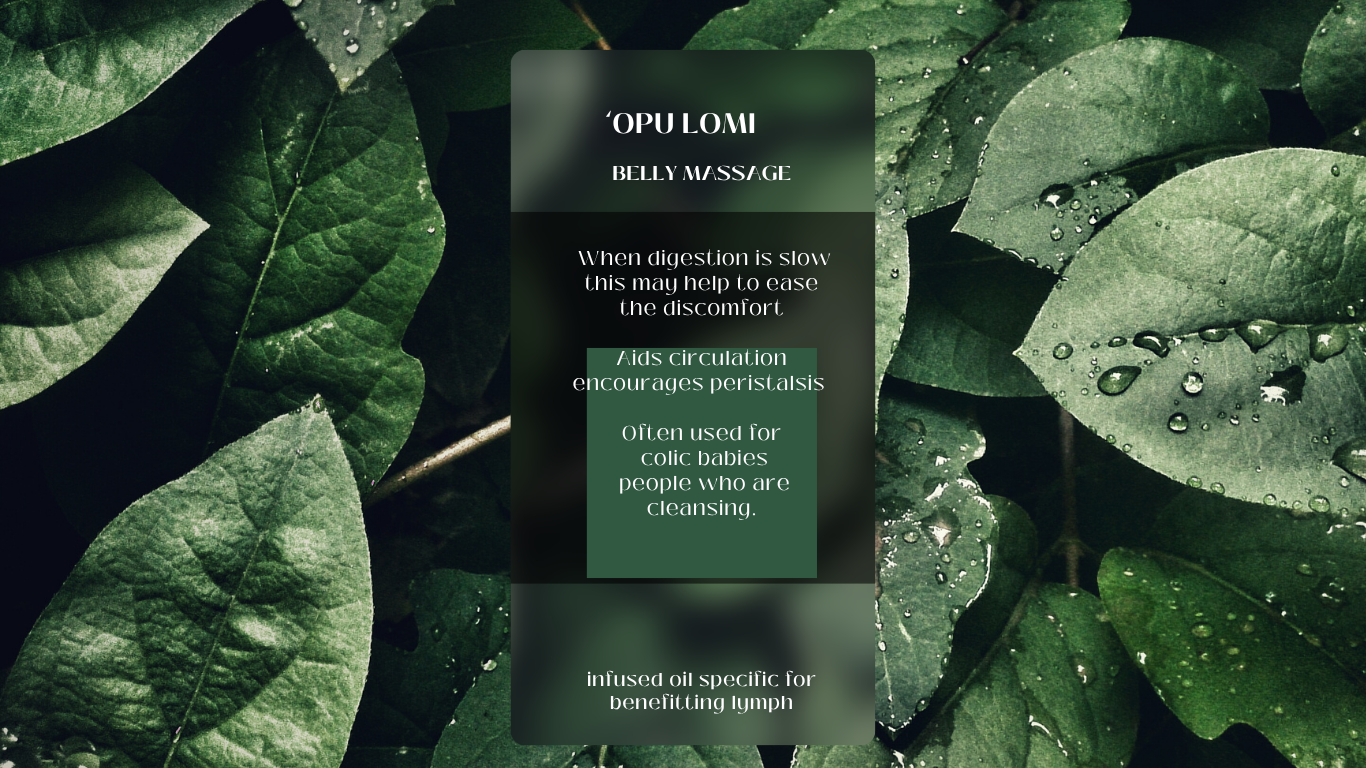 2026webpage11